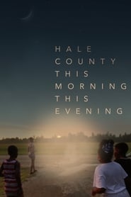 Assistir No Interior do Alabama: A Vida em Hale County online
