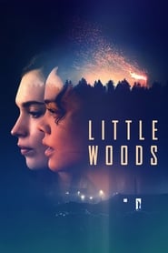 Assistir Little Woods online