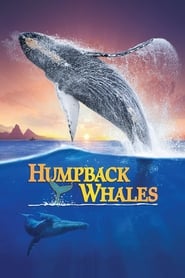 Assistir Humpback Whales online