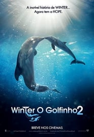 Assistir Winter, o Golfinho 2 online