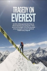 Assistir Avalanche no Everest online