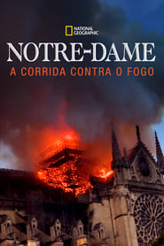 Assistir Notre Dame: A Corrida Contra o Fogo online