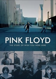 Assistir Pink Floyd: The Story of Wish You Were Here online