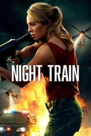 Assistir Night Train online