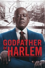 Assistir Godfather of Harlem online